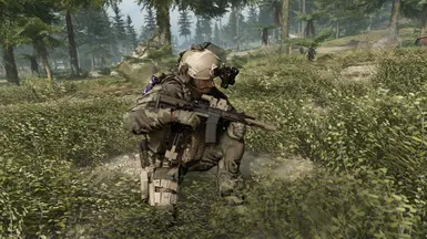 M81 woodland