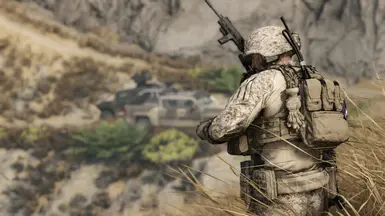 MARPAT desert