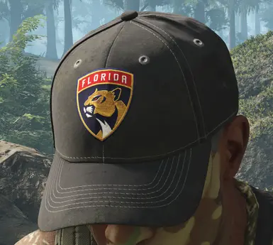 Baseball Cap Logo Collection