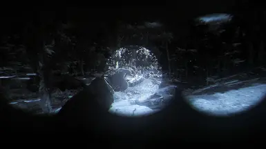With Reshade NVG + Augmented Reality Outline