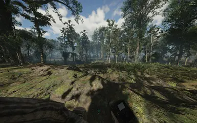 First Person / Before