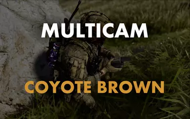 Multicam - Secondary Color Coyote Brown