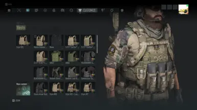 Quartz HSGI tactical vest loadout for medium vests at Ghost Recon ...