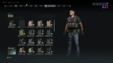 Replaces Dual Arness chest rig