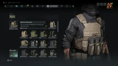HSGI Core® Plate Carrier (Hidden in game files)