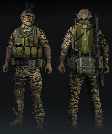 Eagle Industries TAC-V10 SFG Vest - Loaded (Alicia Diaz's Vest with Bodark Rifleman Smersh Battle Belt Loadout)