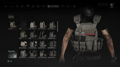 With Nomad Vest Loadout (don't mind the ghostly apparition)