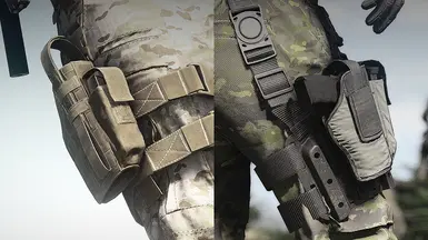 Two Holsters wow