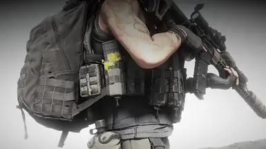 Alternate ASR Loadout