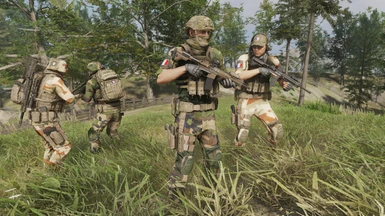 French CCE and Daguet camo