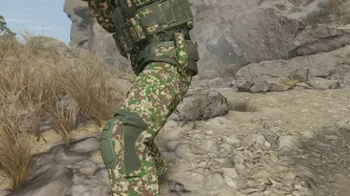 Flecktarn forest