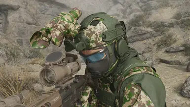 Flecktarn forest