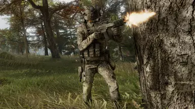 Auroa flecktarn woodland