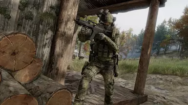 German flecktarn woodland