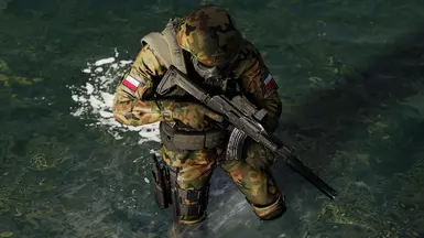 Polish Wz. 93 Camouflage Pattern