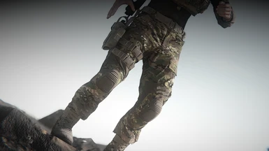 Crye G2 Combat Pants