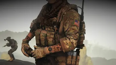 Crye JPC - Loaded V1