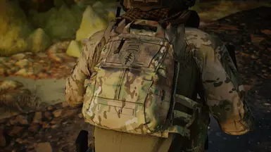 Crye JPC - Loaded V3 - Zip-on Backpanel