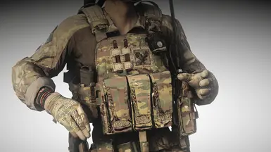 Crye AVS - Loaded V1