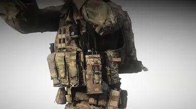 Crye AVS - Loaded V1