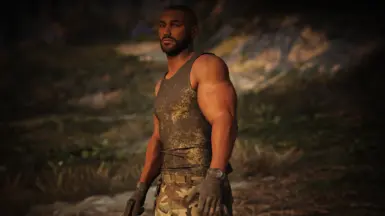 Anchor Arms