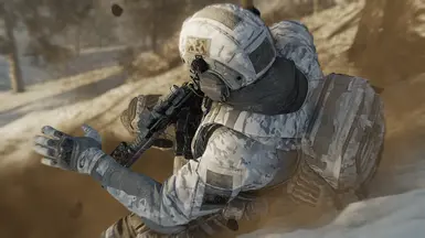 MultiCam Alpine