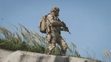 French Army New Camouflage Pattern (BME) at Ghost Recon Breakpoint ...