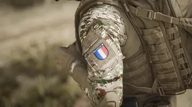 Authentic French Patch