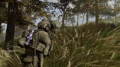 DECEPTEX woodland
