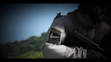 Patches Compatible