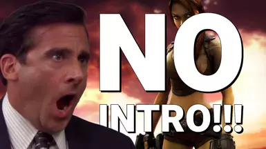 No-Intro (Skip Startup - Splash Videos)