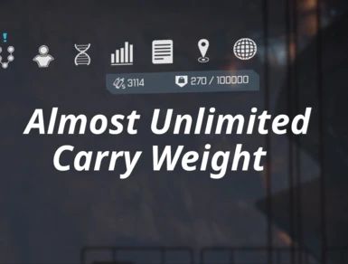 Almost Unlimited Carry Weight
