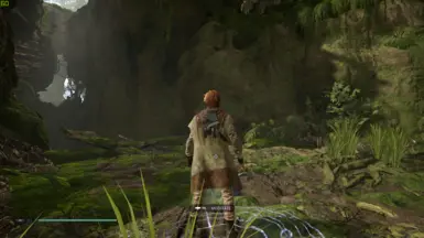 Free Kashyyyk Poncho Without Shyyyo Bird