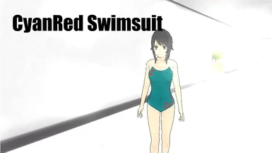 CyanRed Swimsuit