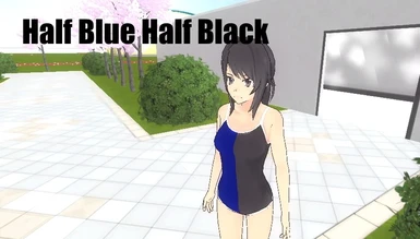 Half Blue Half Black Swimsuit