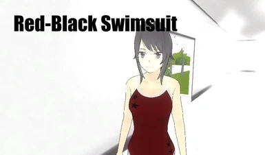 Red-Black Swimsuit