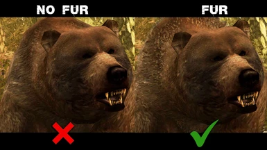 Grizzly Fur Fix
