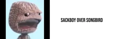 Sackboy over Songbird