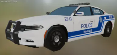 What You Get In The Model
