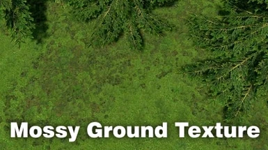 Mossy Ground Texture