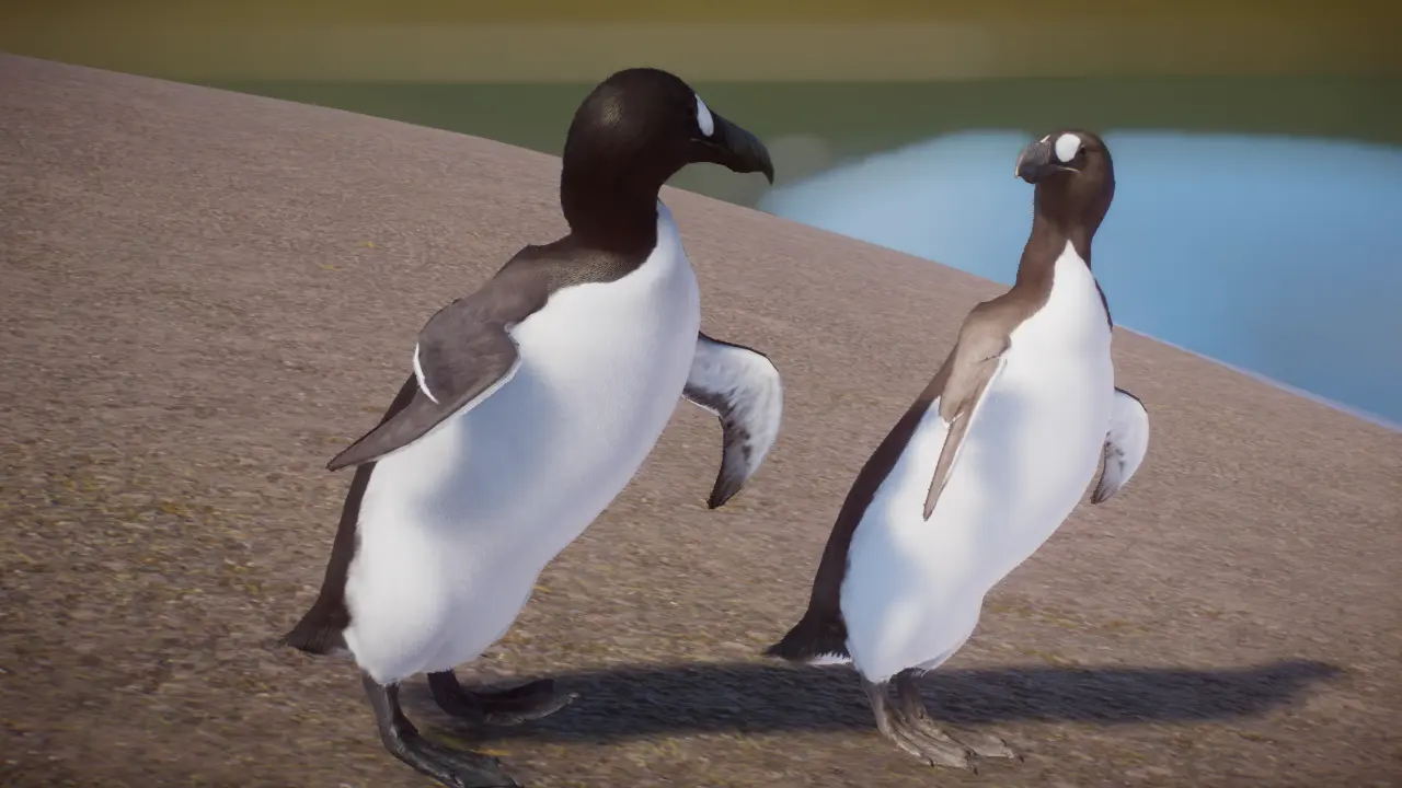 Great Auk - Extinct New Species (1.15) At Planet Zoo Nexus - Mods And 