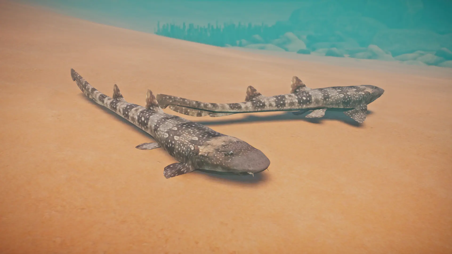 Whitespotted Bamboo Shark - New Species (1.13) at Planet Zoo Nexus ...