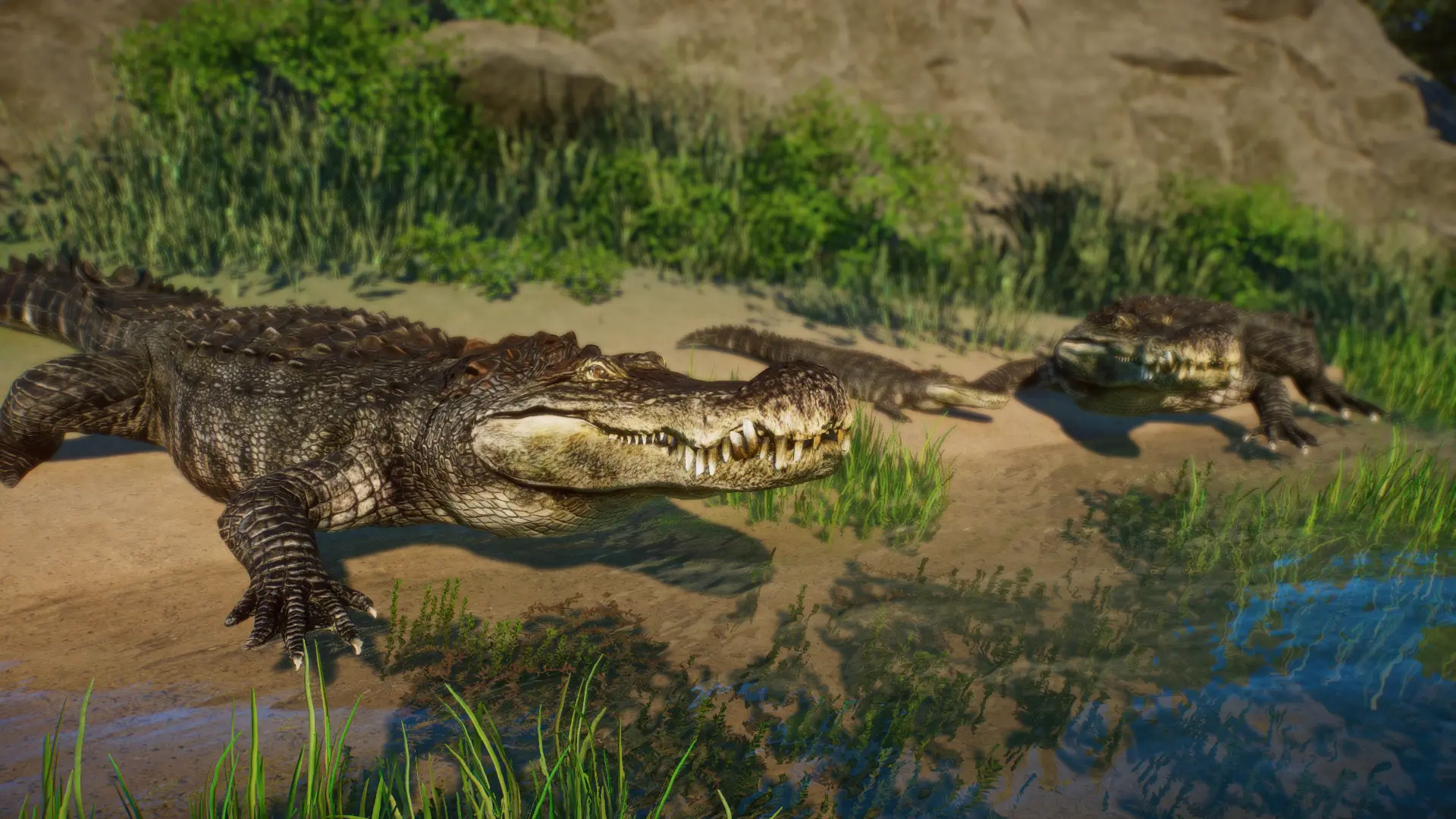 Deinosuchus Riograndensis - New Species (1.12) at Planet Zoo Nexus ...