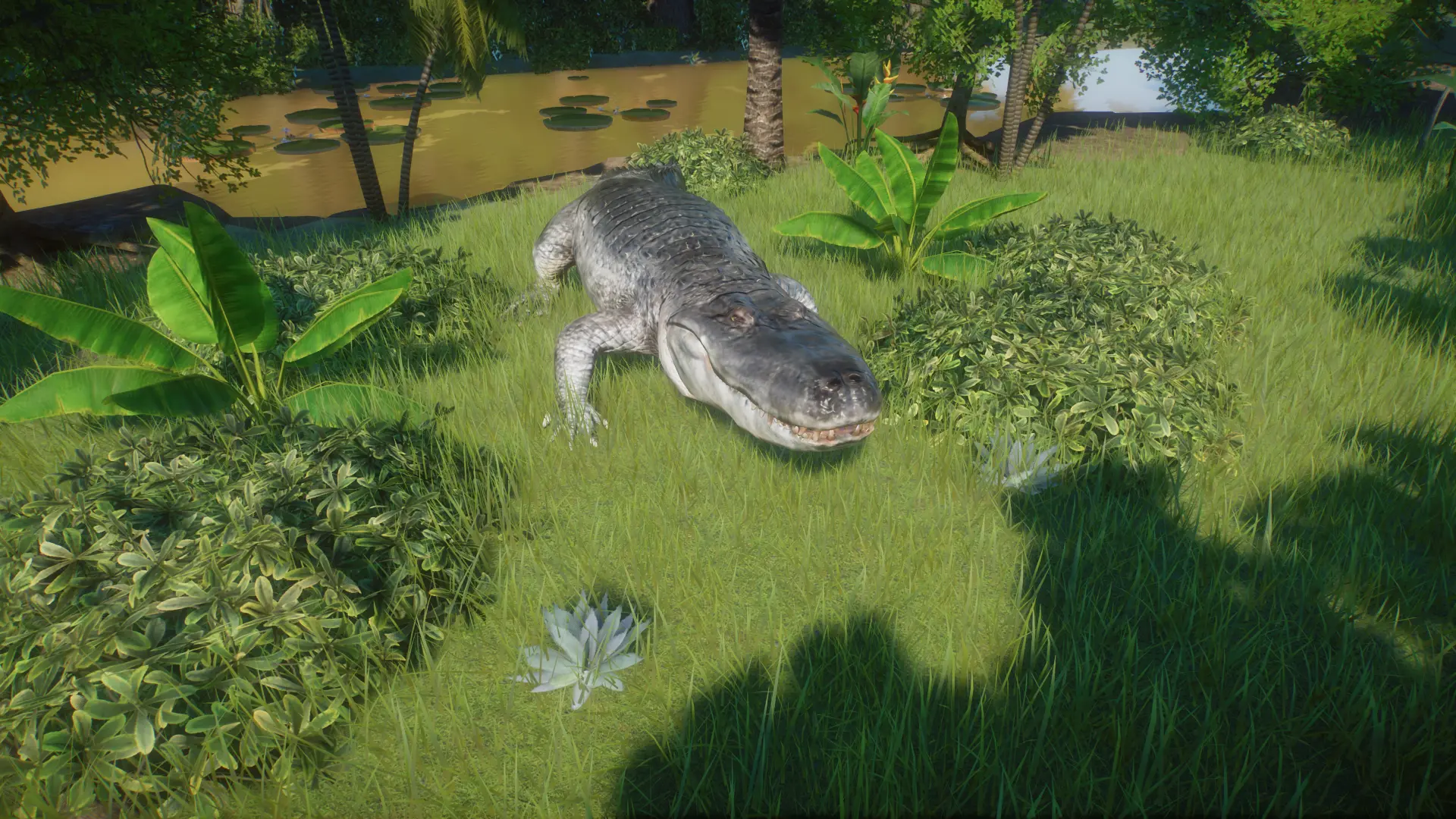 (1.8) Purussaurus - New Species At Planet Zoo Nexus - Mods And Community