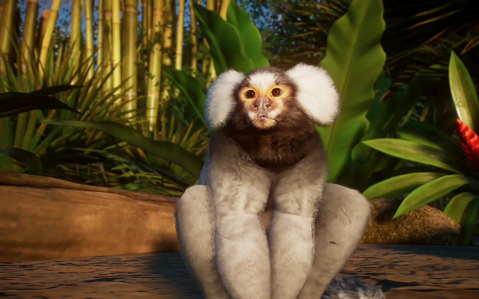 Common Marmoset - New Species (1.16) at Planet Zoo Nexus - Mods and ...