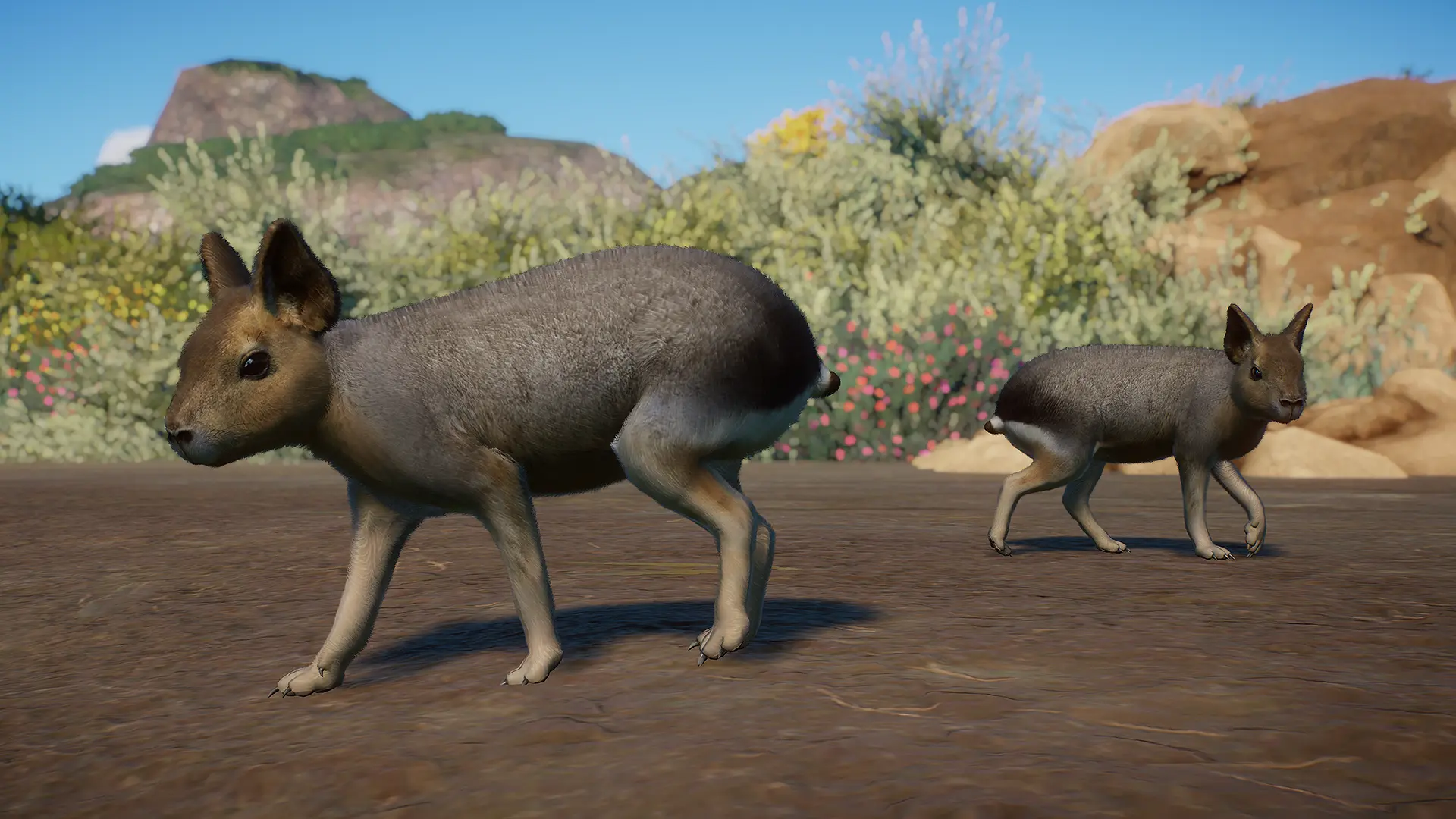 Patagonian Mara - New Species (1.16) at Planet Zoo Nexus - Mods and ...