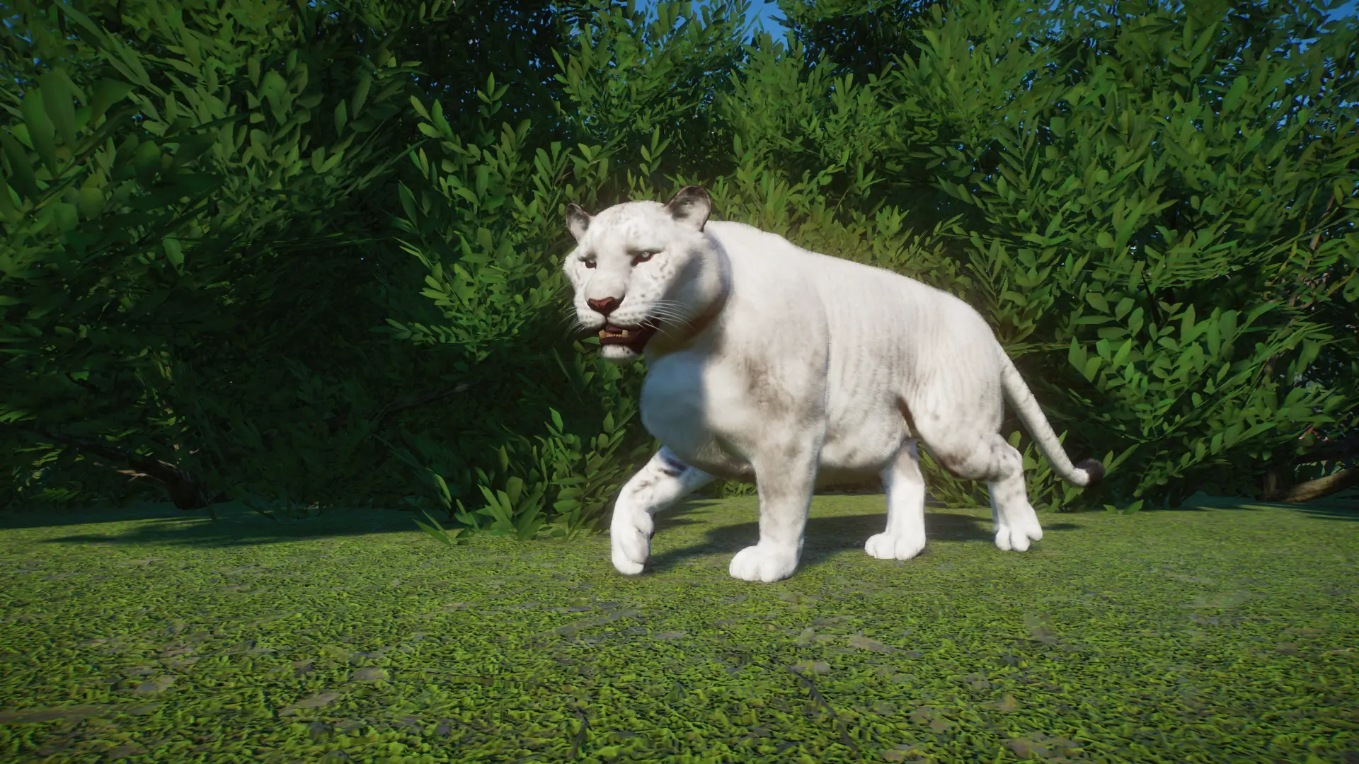 Liger-New Species (1.8) at Planet Zoo Nexus - Mods and community