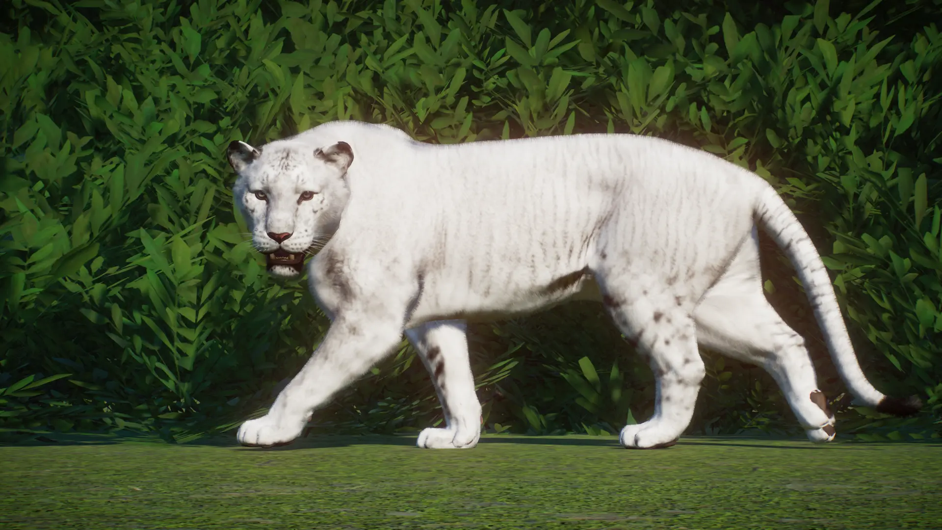 Liger-New Species (1.8) at Planet Zoo Nexus - Mods and community