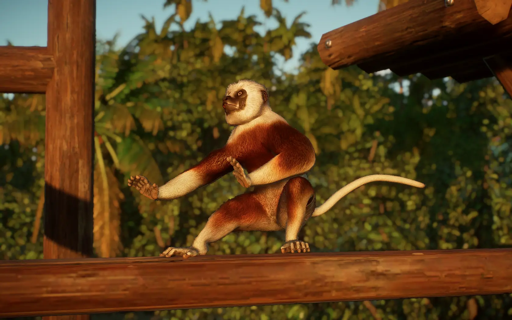 Coquerel's Sifaka - New Species (1.12) At Planet Zoo Nexus - Mods And 