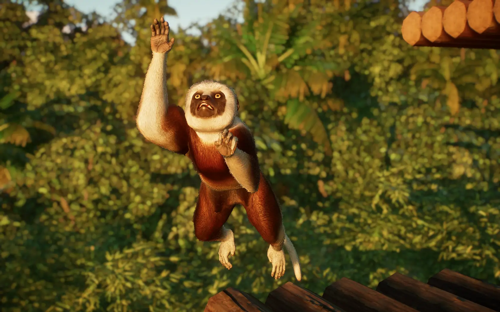 Coquerel's Sifaka - New Species (1.12) at Planet Zoo Nexus - Mods and ...